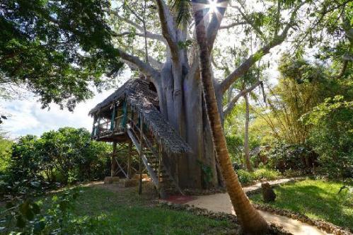one-of-our-unique-treehouses Pulau Mafia, Tanzania, Afrika